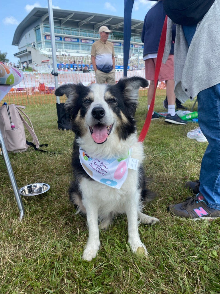 Dog Bandana