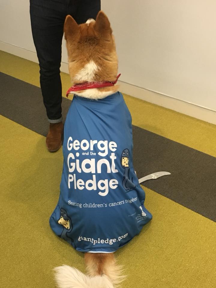 Giant Pledge Cape